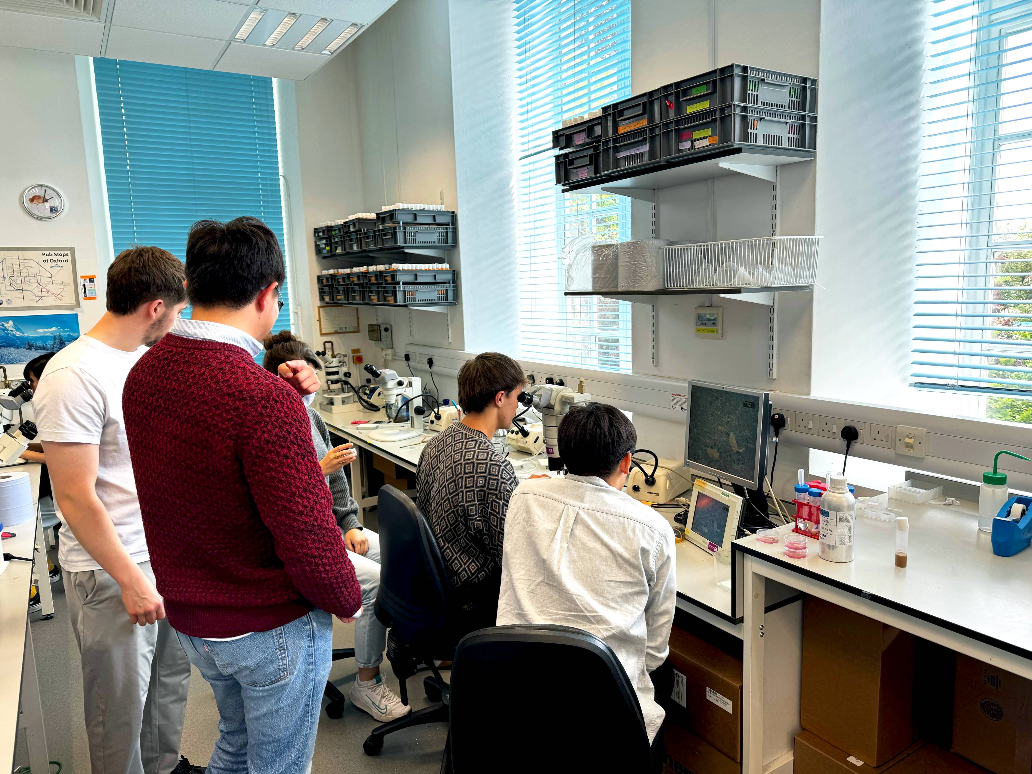 oxford_Jordan Raff Lab